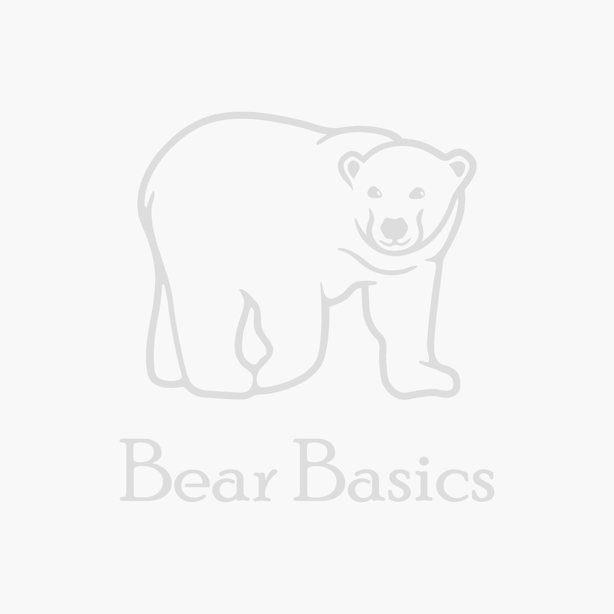 Bear Patterns & Kits